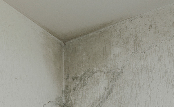 Wärmebrückennachweis, eine Ecke in der sich Schimmel bildet durch eindringende Nässe